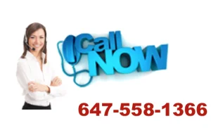 tree removal georgina ontario
