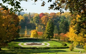 Certified arborist assessing tree health in High Park