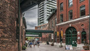 Tree Removal Distillery District Toronto