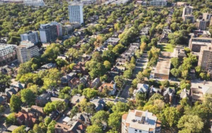 Fallen tree removal on a residential street in The Annex, Toronto by professional arborists