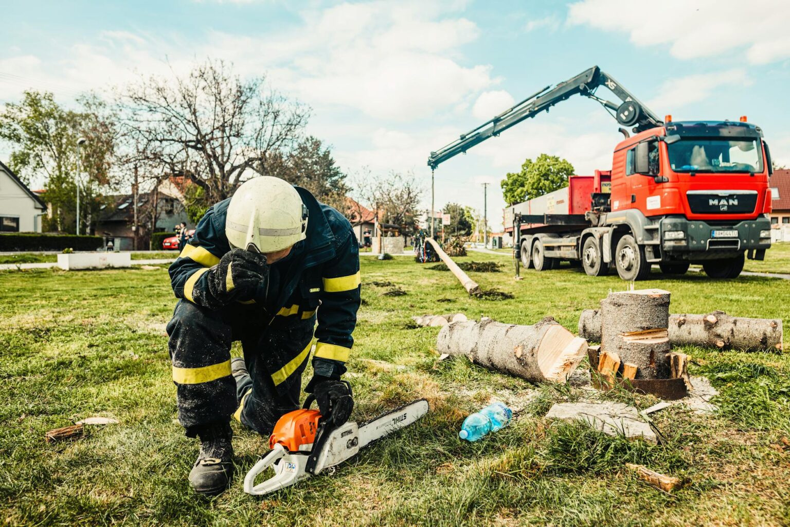 Tree Removal Toronto Permit - Guidelines & Application Process