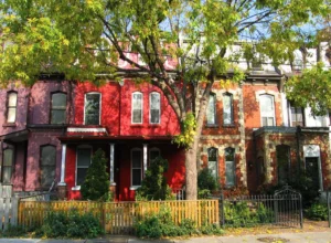 Tree Care Cabbagetown