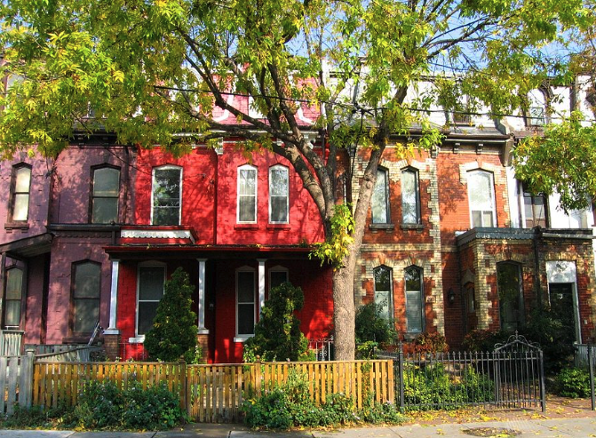 Tree Care Cabbagetown