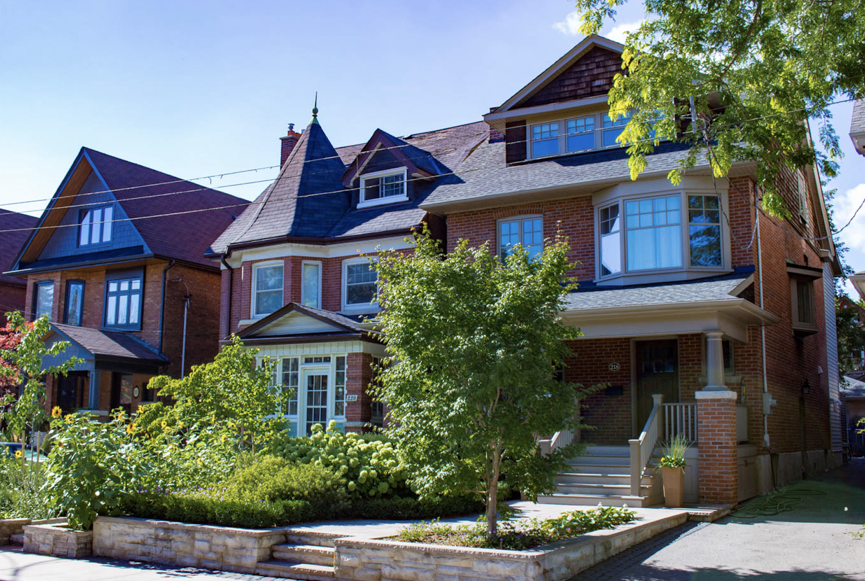 tree removal Roncesvalles