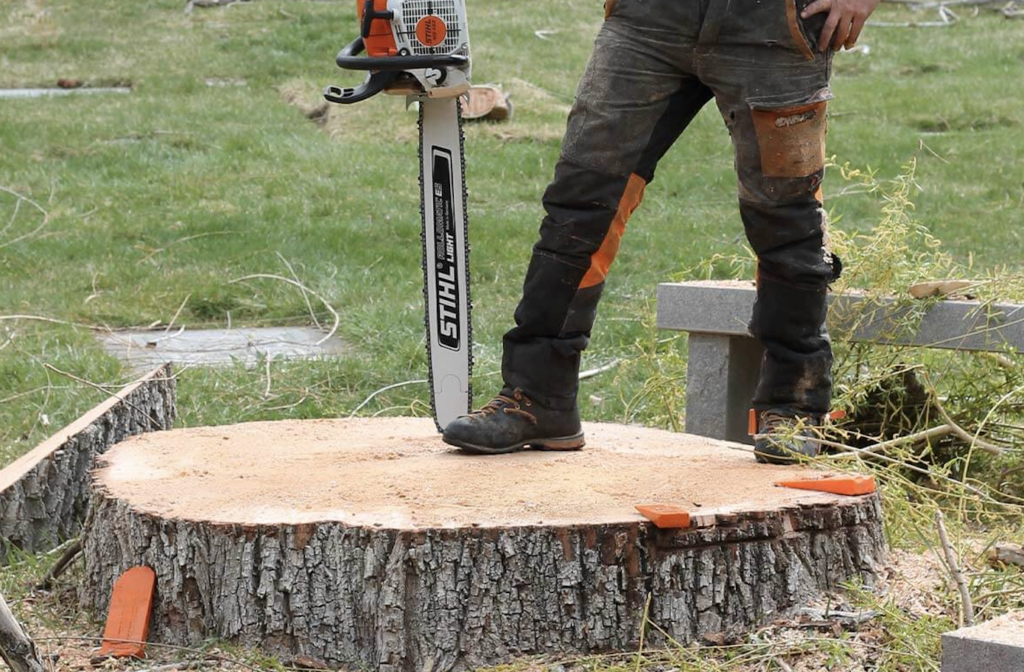Comparison of tree stump removal and grinding services in Toronto, showing a stump being removed on one side and grinded on the other