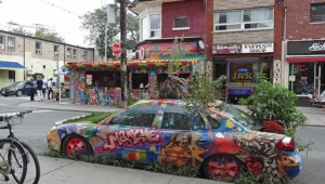 Arborist cutting tree in a tight urban Kensington Market yard